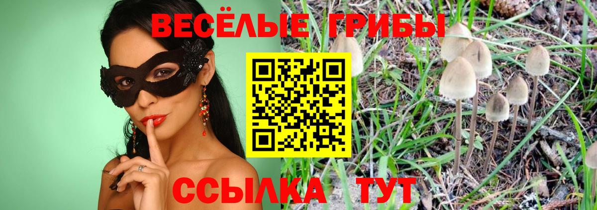 Псилоцибиновые грибы мухоморы  Вход с VPN  Орехово-Зуево 
